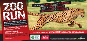 Our first ever ZOO RUN - a fun run through Australia Zoo - 100% of profits donated to the Australia Zoo Wildlife Hospital - Proudly presented by Jetts Fitness