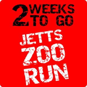 ZooRun2WeeksToGo