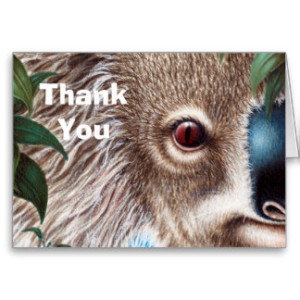 curios_koala_thank_you_note_card-r9e31cb75e6ac47b9a2bb5a143fb54bbc_xvua8_8byvr_324