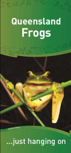 wallumsedgefrog-leaflet